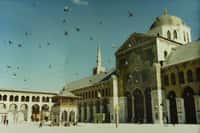 Oiseaux dans la cour de la mosquée des Omeyyades à Damas, en Syrie.© Wikimédia Commons, domaine public